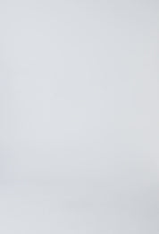 Yasmin Panelled Skirt