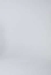 Willow Viscose Dobby Panel Pant