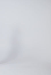 Nora Scoop Hem Midi Skirt - Petite