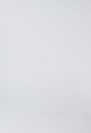 Oleander Print Blouse